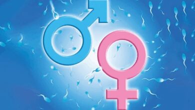 Krishnagiri to launch intensive awareness drive at Anganwadis to curb sex determination, selective abortions Krishnagiri to launch intensive awareness drive at Anganwadis to curb sex determination, selective abortions