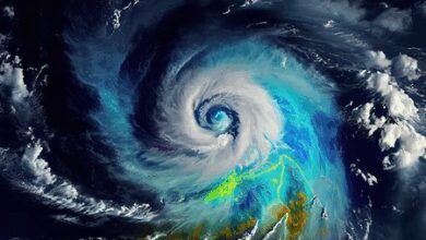 Cyclone Ditwah: Red alert in TN’s Tiruvallur, Ranipet; multiple districts to get heavy rainfall