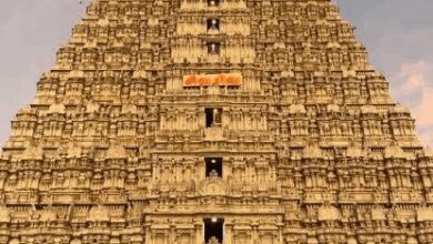 Devotees barred from climbing TN’s Arunachaleswarar hill amid rain, landslide fears