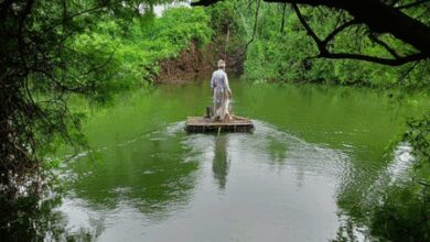 Gujarat village finds relief as CM’s ‘Swagat Online’ clears road-bridge project