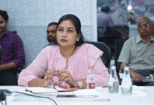 Cyclone Ditwah impact: Andhra Pradesh Home Minister reviews situation