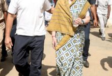 National Herald case: Delhi HC to hear tomorrow ED plea challenging relief to Sonia, Rahul