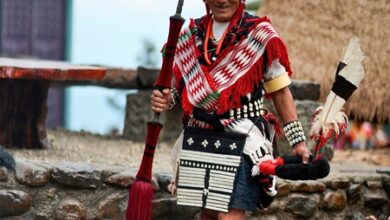Nagaland: Vibrant tribal performances mark Day 8 of Hornbill Festival