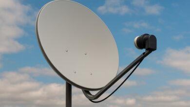 Video subscription revenues in India surge 11 pc to Rs. 9,200 crore: Minister