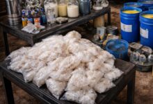 Drug factory busted in Rajasthan; 40 kg mephedrone among seizures