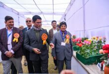 NDMC’s Winter Rose Show ends with celebration of magnificent blooms and fragrances