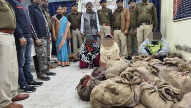 Op Wilep: Railway officials bust wildlife trafficking, rescue 790 live tortoises and turtles