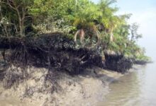 Bangladesh: Indigenous Catholic and tribal leaders warn of protest over contested forest project