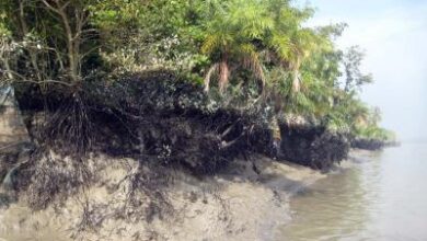 Bangladesh: Indigenous Catholic and tribal leaders warn of protest over contested forest project