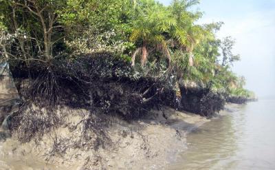 Bangladesh: Indigenous Catholic and tribal leaders warn of protest over contested forest project Bangladesh: Indigenous Catholic and tribal leaders warn of protest over contested forest project