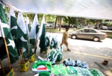 Baloch activist flags Pakistani leadership’s insecurity on ‘fake day’