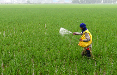 No plan to hike urea prices, clarifies Centre No plan to hike urea prices, clarifies Centre