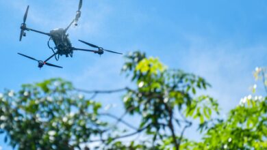 India’s 0 million line of credit helps boost yields at Kenya farms: Report