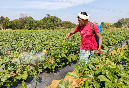 India has adequate fertiliser stocks ahead of Kharif 2026 despite global disruptions: Sources