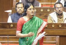 India’s pharmaceutical PLI schemes far exceed investment targets: Minister