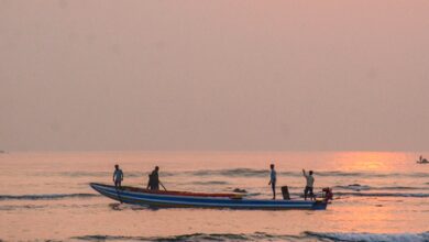 Andhra urges Tamil Nadu to stop illegal fishing boats from entering its waters
