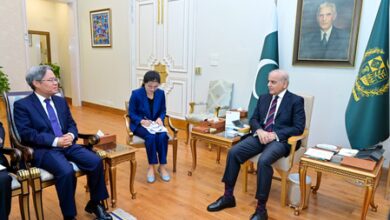 Pakistan pursuing strategy of cautious ambiguity amid West Asia conflict: Report