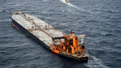 Govt looking at supporting shipping firms, exporters as insurance costs rise amid Iran war