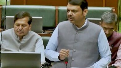 Maha govt orders SIT probe into Jalgaon land acquisition scam