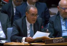 Egyptian FM urges de-escalation in phone calls with regional counterparts