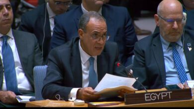 Egyptian FM urges de-escalation in phone calls with regional counterparts