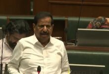 Maha govt to seek permission from Centre to pump out water from Lonar lake