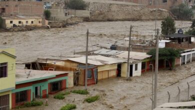 Peru declares state of emergency in 283 districts amid heavy rains