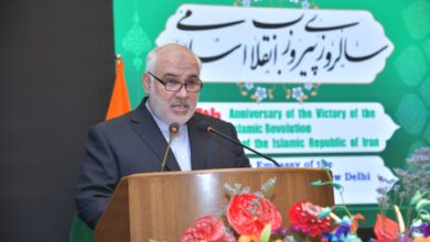 Tehran to give safe passage to Indian ships in Strait of Hormuz: Iran envoy