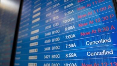 Chemical odour halts Washington-area flights