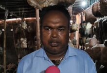 Bihar mushroom farmers thank Centre for PMFME scheme