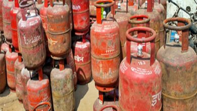 No shortage of domestic LPG cylinders, says Rajasthan CM; orders action against hoarding