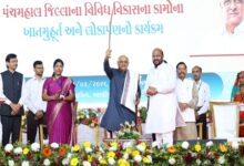 Gujarat CM launches Rs 1,100 crore-worth projects across two tribal districts