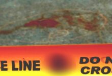 2 killed, 6 injured in shooting in Johannesburg