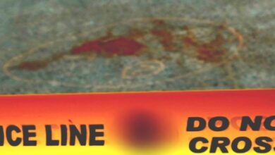 2 killed, 6 injured in shooting in Johannesburg