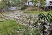 Severe hailstorm batters Meghalaya, damages homes, vehicles and crops