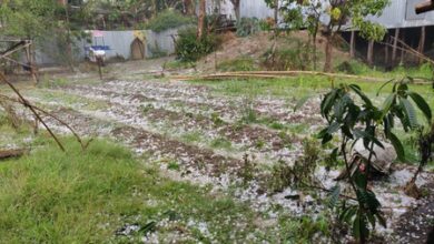 Severe hailstorm batters Meghalaya, damages homes, vehicles and crops Severe hailstorm batters Meghalaya, damages homes, vehicles and crops
