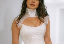 Oscars 2026: Priyanka Chopra presents Best International Feature Film with Javier Bardem, latter says, ‘Free Palestine’