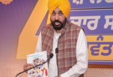 AAP govt fulfilled all guarantees within four years: Punjab CM