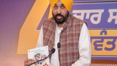 AAP govt fulfilled all guarantees within four years: Punjab CM