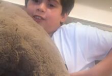 Karan Johar gets an exciting business proposal from son Yash