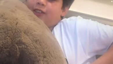 Karan Johar gets an exciting business proposal from son Yash