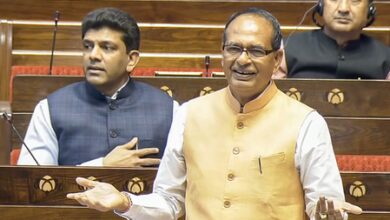 Govt giving top priority to boost farmers’ incomes: Shivraj Chouhan