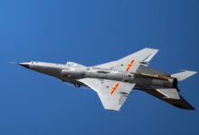 US Flight schools training Chinese pilots: Senator Banks