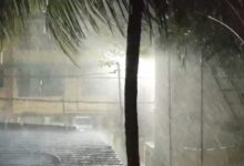 Storms, gusty winds, and lightning forecast in several districts of Chhattisgarh