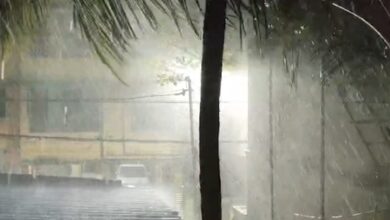 Storms, gusty winds, and lightning forecast in several districts of Chhattisgarh