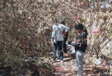 Gujarat: Charred body of woman found near Ahmedabad Airport, probe underway