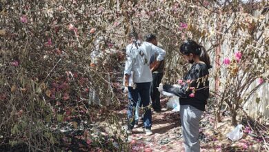 Gujarat: Charred body of woman found near Ahmedabad Airport, probe underway