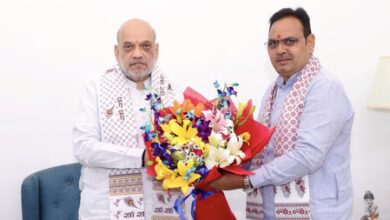 Rajasthan CM meets Union ministers in Delhi, discusses state development & Centre-state coordination