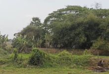 Odisha: Kushunupur selected as ‘smart village’, scientific innovation to transform its growth landscape