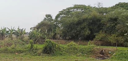 Odisha: Kushunupur selected as ‘smart village’, scientific innovation to transform its growth landscape